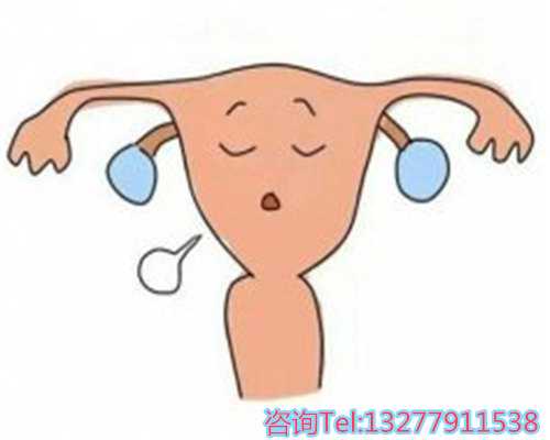 重庆助孕与贵阳试管：私立医院选择与代生服务指南