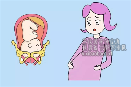 重庆助孕试管婴儿是越贵越好吗？